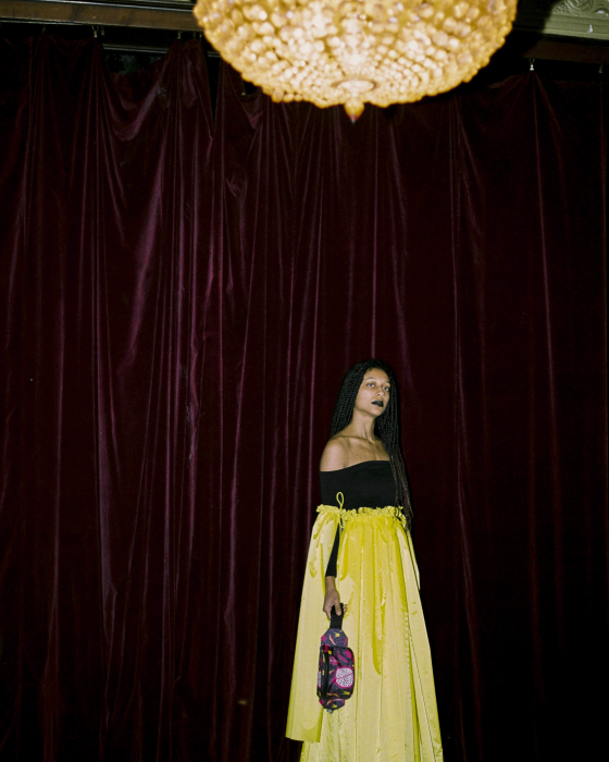 BUMBAGR X DIANA BARBU - Image 6